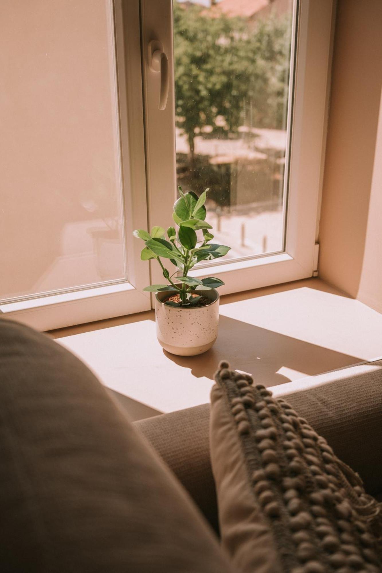 Quietude-Loft Neuf-Clim & Parking Apartment Roquefort-la-Bedoule Ngoại thất bức ảnh